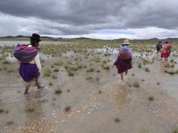 El Consejo Autónomo Aymara de Arica ha criticado largamente la sentencia,  por no considerar la cultura aymara. ARCHIVO  /