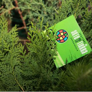 Convocan al Festival Arte por la Tierra