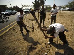 Personas pertenecientes a la brigada juvenil de guardabosques de la Policía de Guadalajara apoyaron en la reforestación.  /