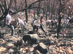 Iniciaros trabajos de restauració para evitar que se pierda suelo en zonas sin árboles.  /