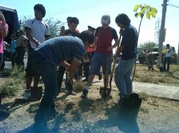 Jovenes ayudaron en la plantación de nuevos árboles en el camellón de Anillo Periférico.  /