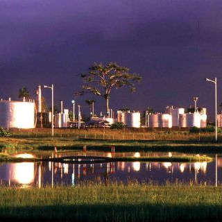 Iniciativa Yasuní ITT, frenada por crisis global: PNUD