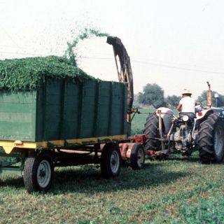Centroamérica y Asociación Europea de Libre Comercio se reúnen