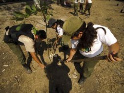 Jóvenes y niños engrosaron las filas del ejército de voluntarios durante sábado y domingo para plantar árboles.  /