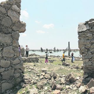 Sequía devasta cultivos y ganado