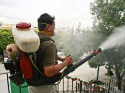 Los trabajos de fumigación y abatización se harán de manera coordinada con personal de diversas áreas del gobierno municipal. ARCHIVO  /