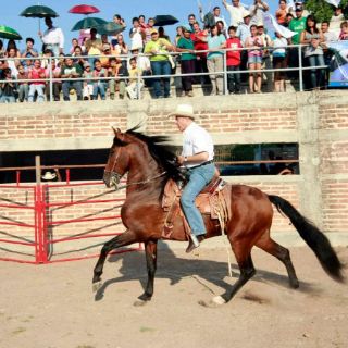 Un gobierno plural, compromiso de Fernando Guzmán