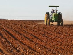Los productores agropecuarios reclaman medidas de  fomento luego de la sequía que dañó la zafra. ARCHIVO  /