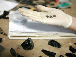 Se ofrecerán conferencias magistrales a cargo de especialistas en las distintas áreas en peritaje antropológico. ARCHIVO  /