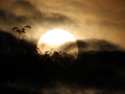 En Twitter, el tránsito del planeta se convirtió en un trending topic mundial con el hashtag #Venus. NTX  /