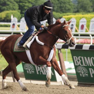 I'll Have Another va por la triple corona