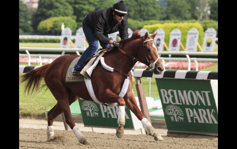 I'll Have Another trabaja en la pista del Belmont Park previo a la carrera del sábado. AP  /