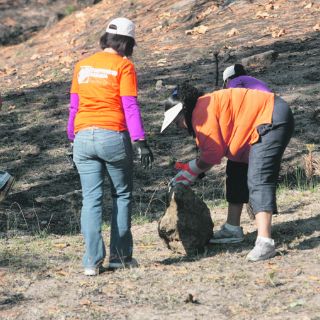 Colaboran con restauración del Bosque La Primavera