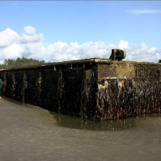 El tsunami en Japón llevó un muelle de concreto a Estados Unidos