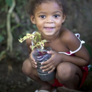 Un pequeño paraíso ecológico rescatado de la basura en una favela de Río