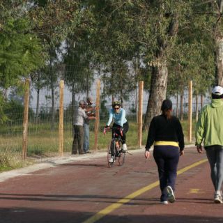 Crean nueva Asociación Nacional de Parques