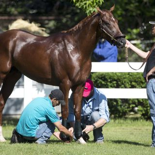 Mario Gutierrez quiere hacer historia