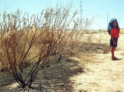 La sequía que afecta al país no sólo es un evento climático, sino que se traduce en desastres sociales. ARCHIVO  /