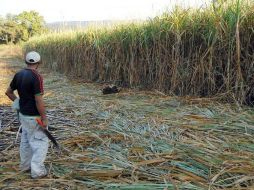 El secretario general de la CODUC reprocha al gobierno federal no publicitar programas de apoyo productivo. ARCHIVO  /