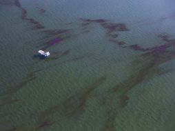 Mancha. El derrame de petróleo en el Golfo de México en 2010 fue el último gran desastre medioambiental.  /