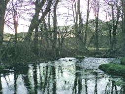 Naturaleza. El río dota a estas hermosas y viejas casonas de una alegría singular.  /