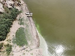 La Sagarpa es la institución encargada de comunicar la repartición de recursos a productores. ARCHIVO  /