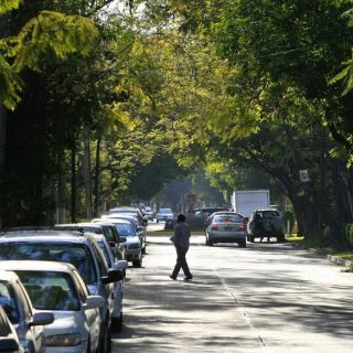 En la Colonia Chapalita localizan dos brazos en un bote de basura