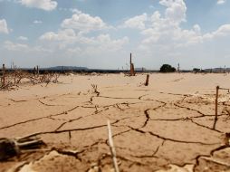 Un monto de 77.6 millones de pesos se destinaron al abasto del líquido hasta las regiones más pobres y lejanas. ARCHIVO  /