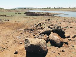 Las regiones Norte y de Los Altos del Estado son algunas de las más afectadas por el estiaje.  /