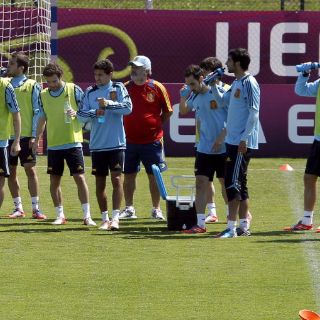 El campeón, sin margen de error contra Irlanda