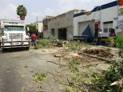 La tormenta que azotó la madrugada de ayer, dejo los primeros daños del presente temporal de lluvias en la metrópoli. ARCHIVO  /