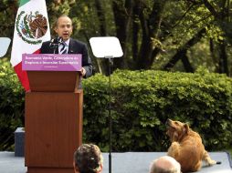 Rocky, el labrador, observa al Presidente Felipe Calderón. EL UNIVERSAL  /