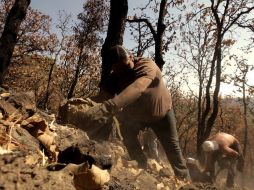 Todavía no se sabe que día iniciará la compra de cámaras para vigilar La Primavera. ARCHIVO  /