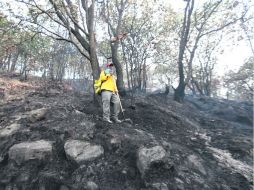 Hoy continúa la rehabilitación con apoyo ciudadano.  /