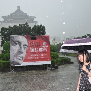 Muestra de Dalí entusiasma a taiwaneses pese a tormentas