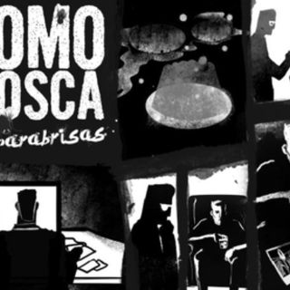 Como Mosca en parabrisas