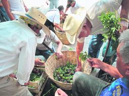 Temporal. Cuando los vendedores salen a la calle con las pitayas, el mensaje es claro: la lluvia está por llegar.  /