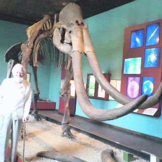 El mamut de Santa Catarina
