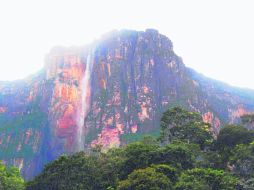MARAVILLA. El Salto Ángel; con sus casi mil metros de caída libre ininterrumpida que lo hacen el más alto del mundo.  /
