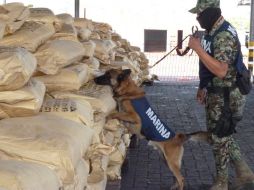 En un contenedor  en Manzanillo se hallaron 640 sacos de metilamina. REUTERS - SEMAR  /