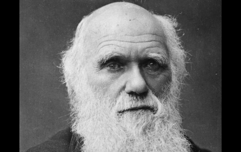 Científicos británicos crearon una máquina para componer éxitos musicales utilizando las leyes de selección natural de Darwin. ARCHIVO  /