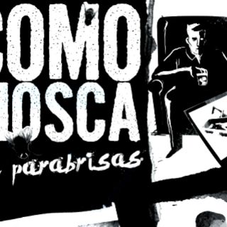 Como Mosca en parabrisas