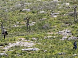 Los refugiados sirios cruzando la frontera con Turquía, en el distrito Reyhanli, Antakya. EFE  /