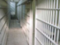 El ex convicto dijo que perdió más de cien kilos durante su paso por la prisión neoyorquina. ARCHIVO  /