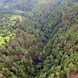 Helicóptero de la Marina se estrelló en montaña de Tecalitlán