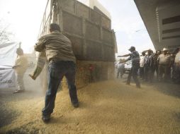 La agricultura por contrato es presentada como alternativa para evitar que el maíz quede almacenado. ARCHIVO  /