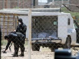 Un total de 331 cuerpos han sido hallados en fosas de le entidad  del 14 de abril del 2011 a enero del presente año. ARCHIVO  /