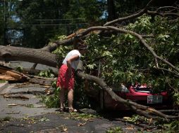 Una mujer inspecciona su carro luego de que éste fue aplastado por un árbol, durante la tormenta. AFP  /