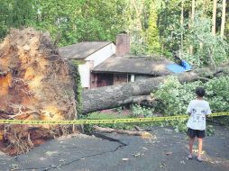 Un niño observa un árbol que cayó sobre una casa, luego de que una tormenta azotara con violencia el área de Falls Church, Virginia. AP  /