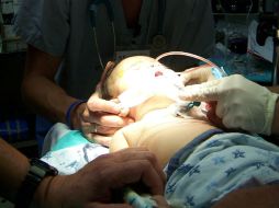 Aunque al inicio fue una técnica polémica, la fecundación in vitro se ha aceptado como un método eficaz para tener hijos. ARCHIVO  /